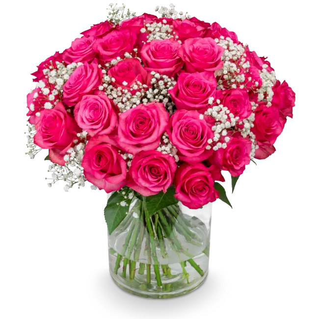 Bouquet of pink roses
